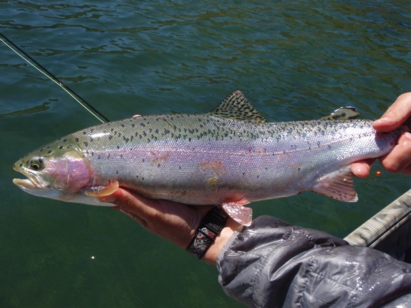 Fishing Report Image