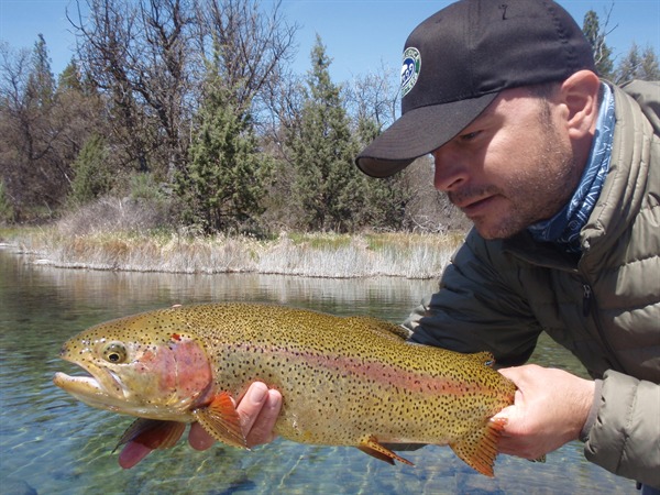 A spring creek beauty