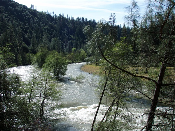 Almost 13,000cfs at Stiener