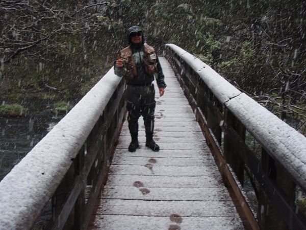 Burney Creek footbridge