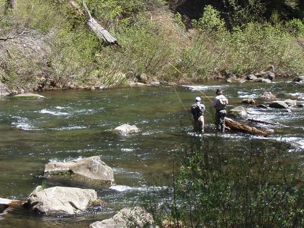 Fishing Report Image