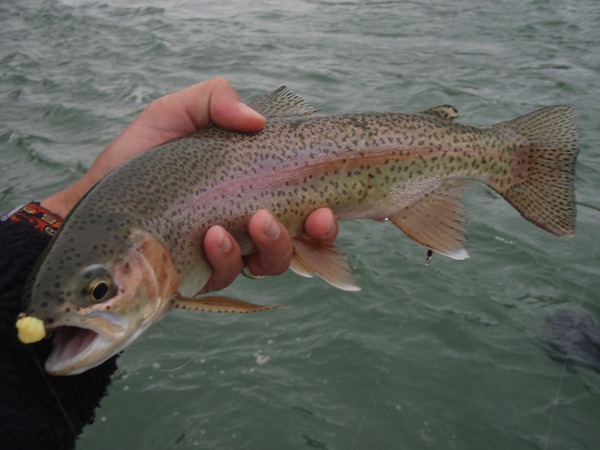 Fishing Report Image