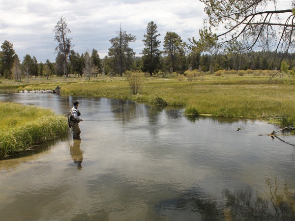 Dax fishing a nice bend