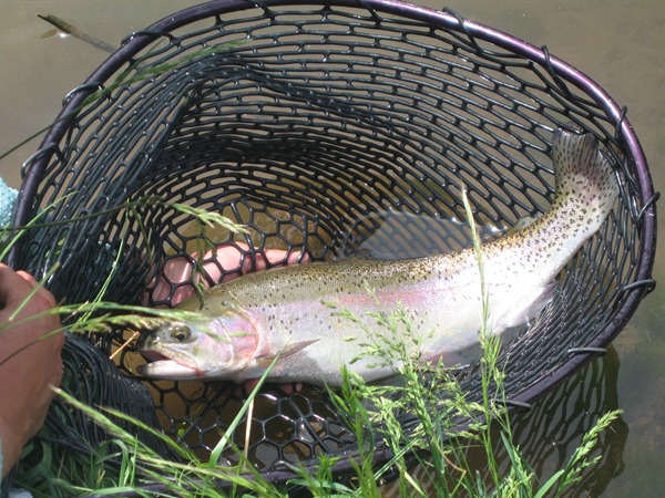 Fishing Report Image