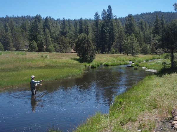 Jeremy fishing a nice run