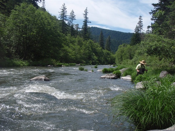 The new, bigger, gnarlier Pit 3