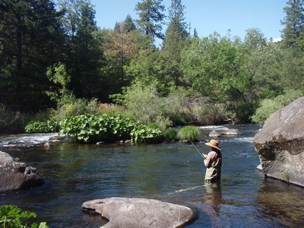Molly fishing a productive pool