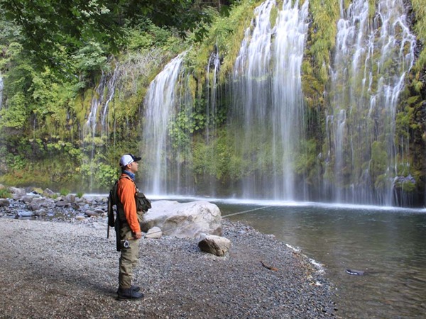 Dax at Mossbrae Falls