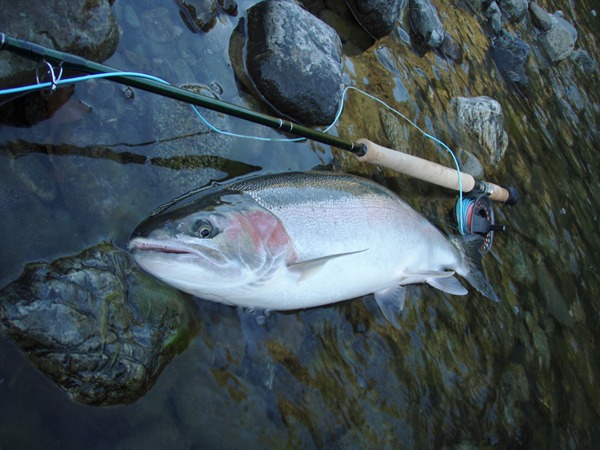 Fishing Report Image