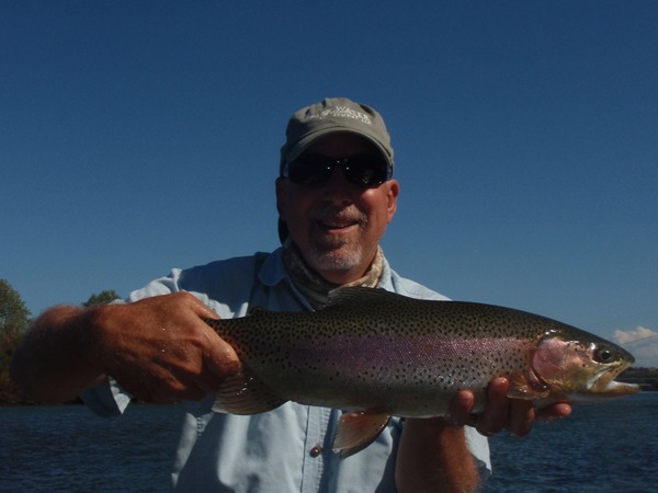 No indicator required for this fish