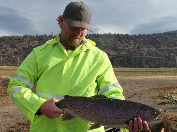 Our fish average over 8 pounds!