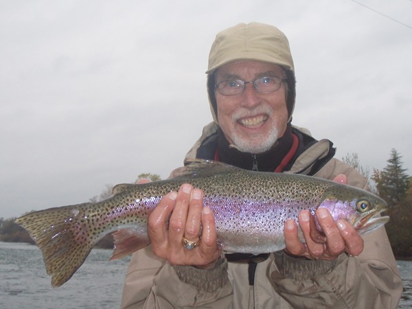 Lots of fish like this today