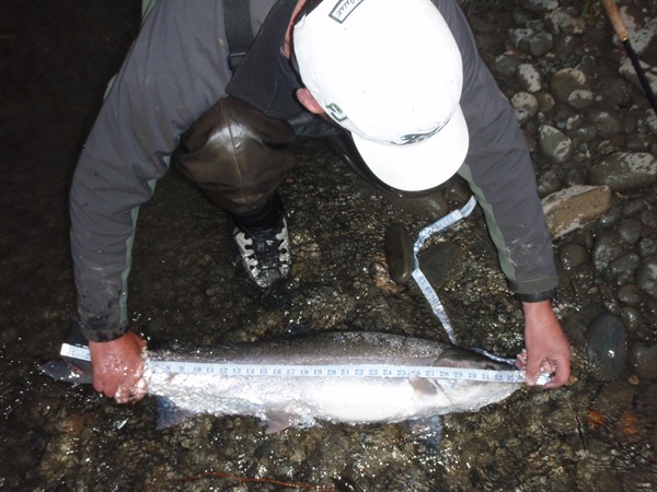 Fishing Report Image