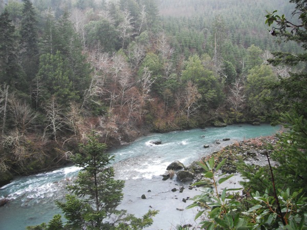 Fishing Report Image