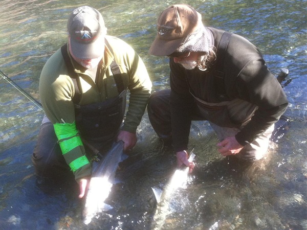 This is a very rare and epic moment for winter 