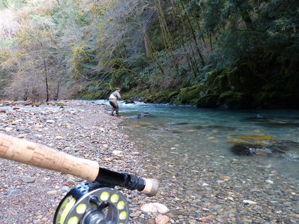 Small stream winter steelhead fishing