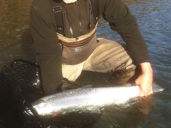 A fine specimen, yez