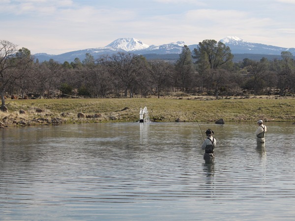 Double on the lower lake
