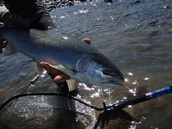 cant get much fresher than this!!