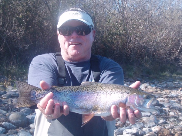 Nice dry fly fish
