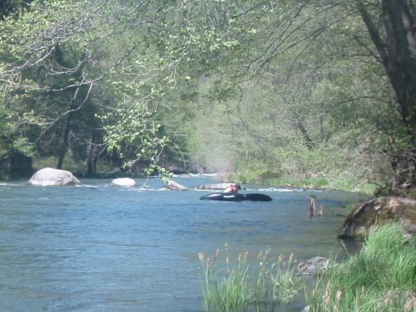 Dax expertly navigating his way downriver