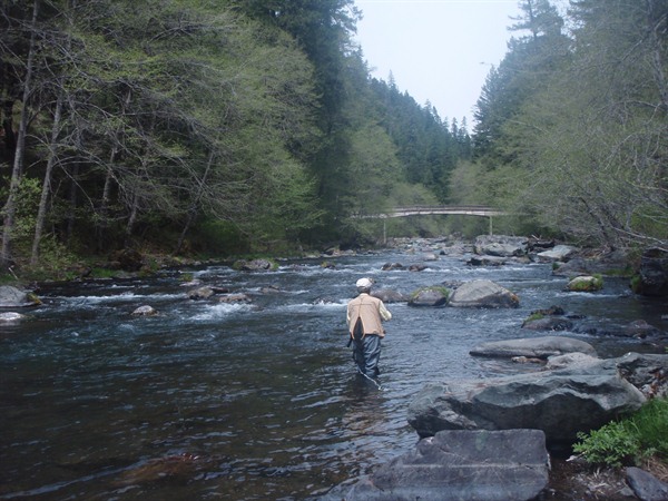 Fishing Report Image