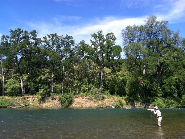 Fishing Report Image