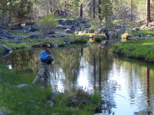 Dennis stalking browns on a backcountry river