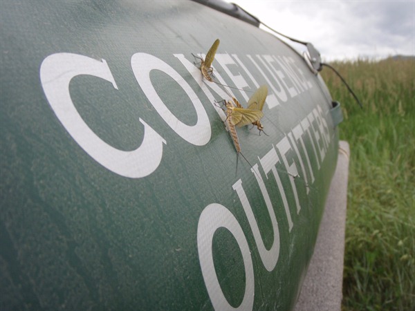 Book your hex trip for July soon