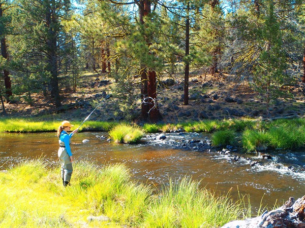 Small streams have been outstanding lately