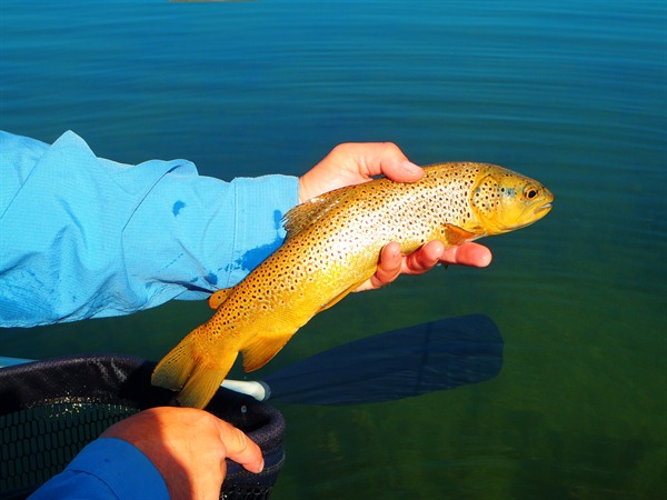 Fishing Report Image