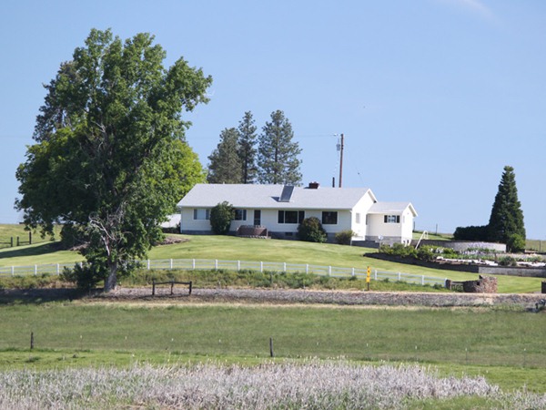 Fishing Report Image