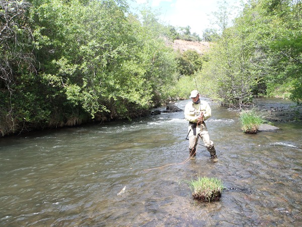 We hooked about 15 fish in this spot