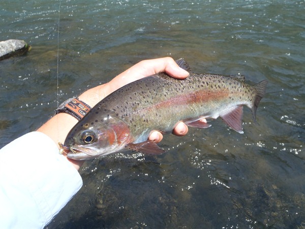 Fishing Report Image