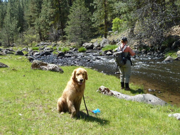 Confluence is dog friendly!