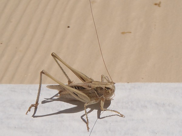 Fishing Report Image