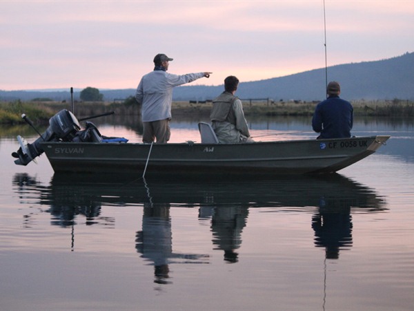 Dax spots the first riser