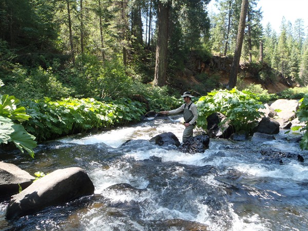 Mike charging up the McCloud