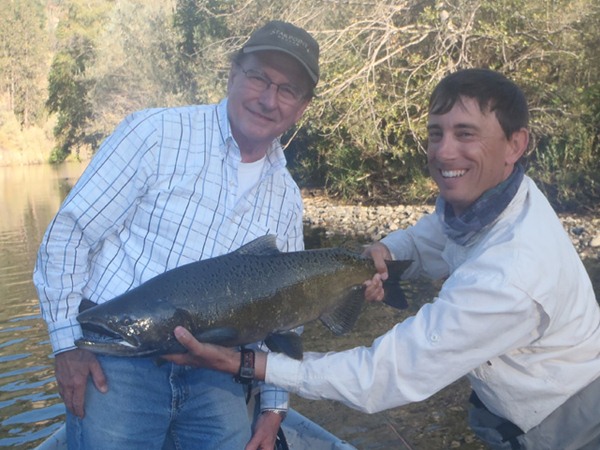 Plenty of salmon around