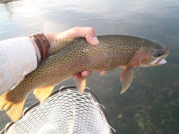 Brooke's big fish on a dry