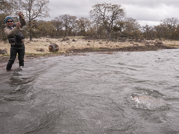 Fishing Report Image