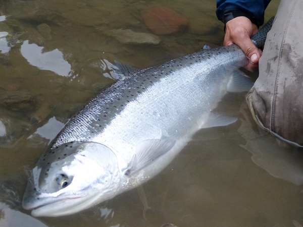 Fishing Report Image