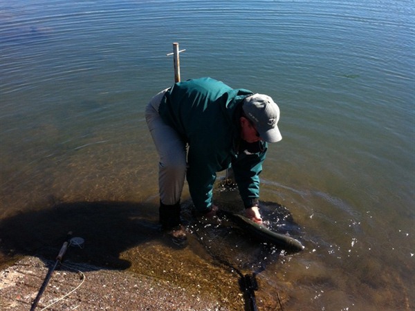 Fishing Report Image