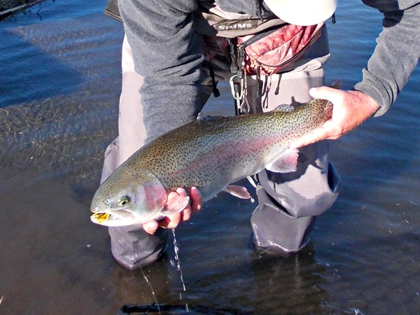 Fishing Report Image