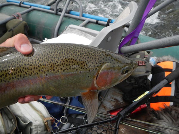 Fishing Report Image