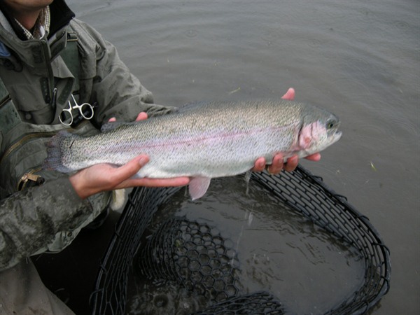 Fishing Report Image