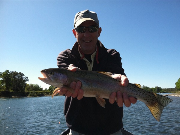 Greg with yet another one...