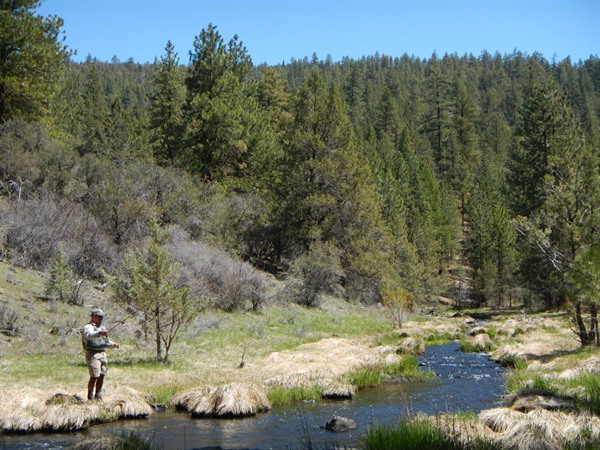 Idyllic small-stream fishing