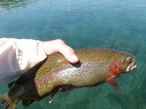 Fishing Report Image