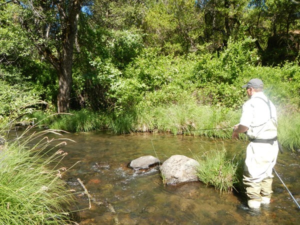 small stream fishing at its finest